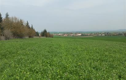 C.21 LOCA ALTIEYLÜL PAŞAKÖYDE SATILIK 7565 M2 FIRSAT ARSA,TARLA