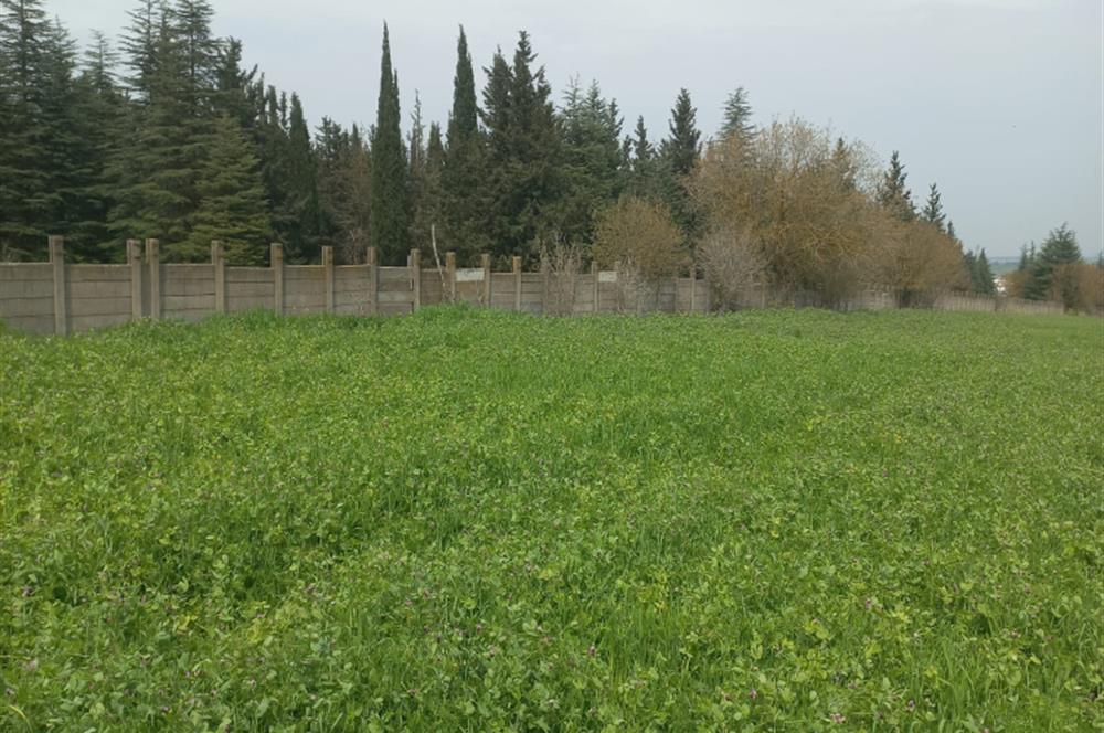 C.21 LOCA ALTIEYLÜL PAŞAKÖYDE SATILIK 7565 M2 FIRSAT ARSA,TARLA