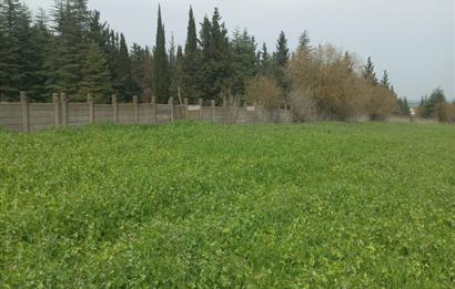 C.21 LOCA ALTIEYLÜL PAŞAKÖYDE SATILIK 7565 M2 FIRSAT ARSA,TARLA