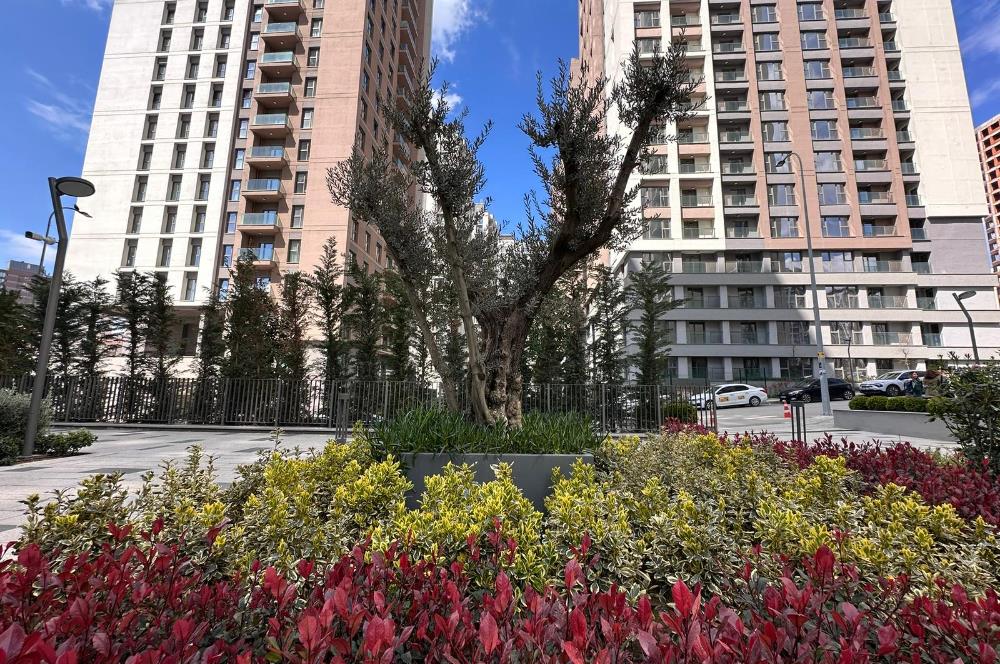 C21 ROOF'DAN EMLAK KONUT YENİ FİKİRTEPE 15. ETAP KİRALIK 3+1