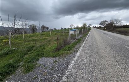 C21 BAL'DAN DİŞBUDAK'TA 13321 M2 ASFALTA CEPHE SATILIK CEVİZLİK