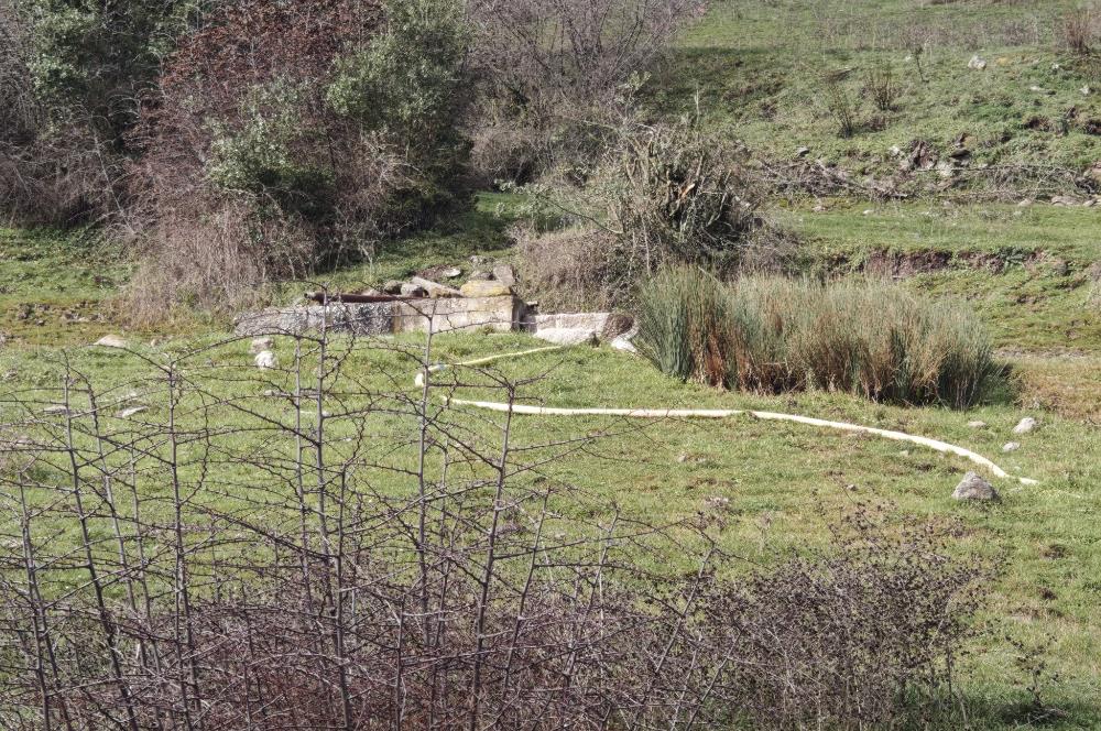 CENTRUY 21 BAL'DAN  BALYA ENVERPAŞA MAHALLESİ SATILIK TARLA