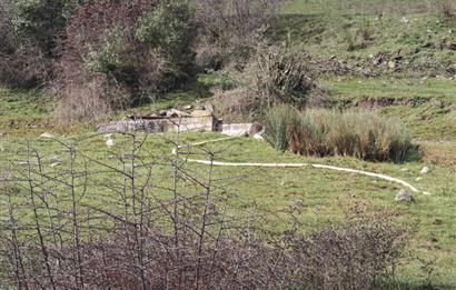 CENTRUY 21 BAL'DAN  BALYA ENVERPAŞA MAHALLESİ SATILIK TARLA