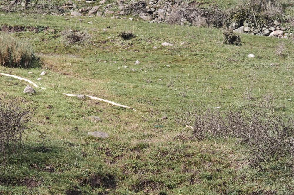 CENTRUY 21 BAL'DAN  BALYA ENVERPAŞA MAHALLESİ SATILIK TARLA