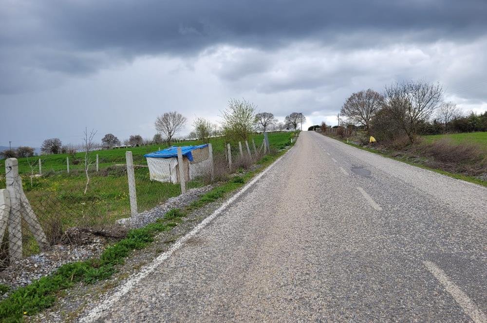 C21 BAL'DAN DİŞBUDAK'TA 13321 M2 ASFALTA CEPHE SATILIK CEVİZLİK