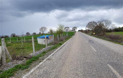 C21 BAL'DAN DİŞBUDAK'TA 13321 M2 ASFALTA CEPHE SATILIK CEVİZLİK