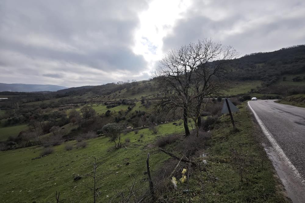 CENTRUY 21 BAL'DAN  BALYA ENVERPAŞA MAHALLESİ SATILIK TARLA