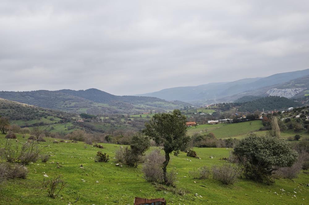 CENTRUY 21 BAL'DAN  BALYA ENVERPAŞA MAHALLESİ SATILIK TARLA