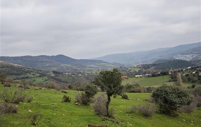 CENTRUY 21 BAL'DAN  BALYA ENVERPAŞA MAHALLESİ SATILIK TARLA