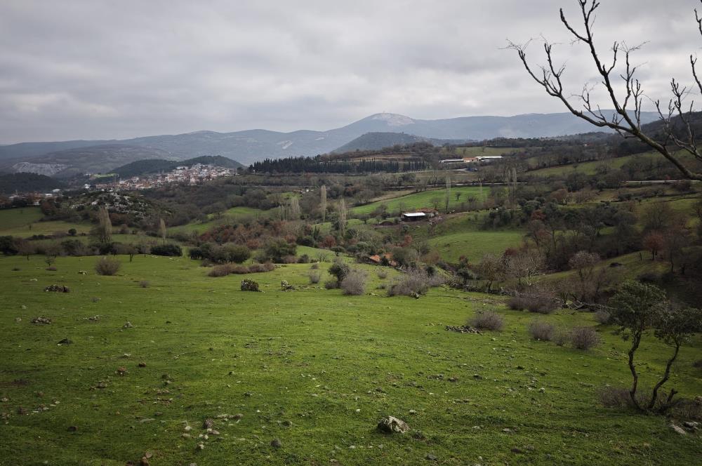 CENTRUY 21 BAL'DAN  BALYA ENVERPAŞA MAHALLESİ SATILIK TARLA