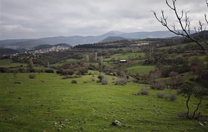 CENTRUY 21 BAL'DAN  BALYA ENVERPAŞA MAHALLESİ SATILIK TARLA