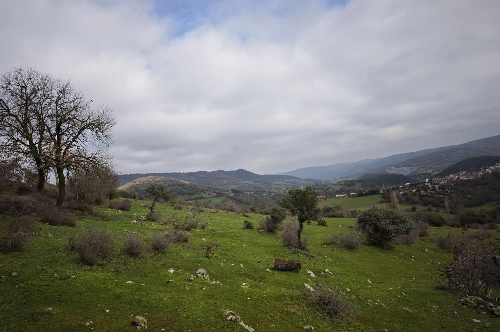 CENTRUY 21 BAL'DAN  BALYA ENVERPAŞA MAHALLESİ SATILIK TARLA