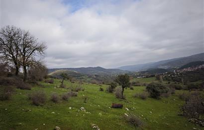 CENTRUY 21 BAL'DAN  BALYA ENVERPAŞA MAHALLESİ SATILIK TARLA