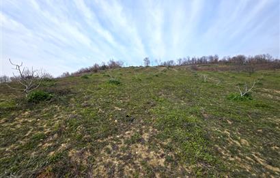 C21 Cius; Katırlı 7458 m2 Satılık Tarla İncirlik