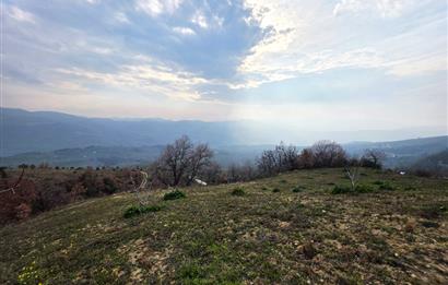 C21 Cius; Katırlı 7458 m2 Satılık Tarla İncirlik