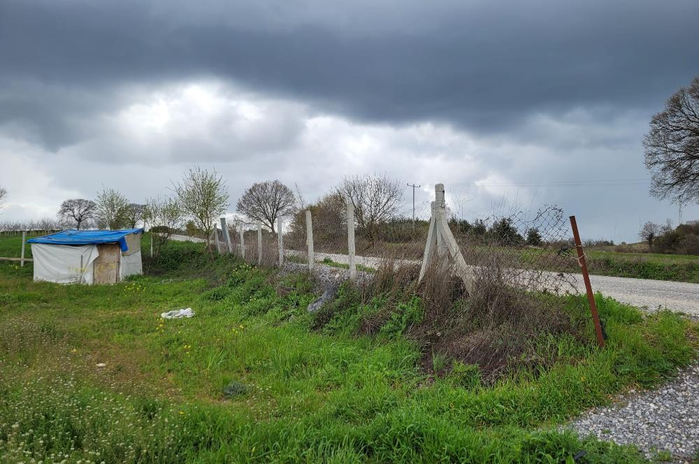 C21 BAL'DAN DİŞBUDAK'TA 13321 M2 ASFALTA CEPHE SATILIK CEVİZLİK