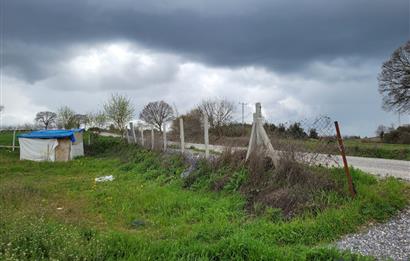 C21 BAL'DAN DİŞBUDAK'TA 13321 M2 ASFALTA CEPHE SATILIK CEVİZLİK