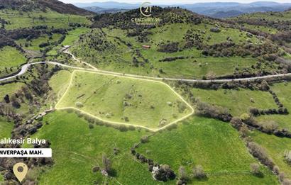 CENTRUY 21 BAL'DAN  BALYA ENVERPAŞA MAHALLESİ SATILIK TARLA