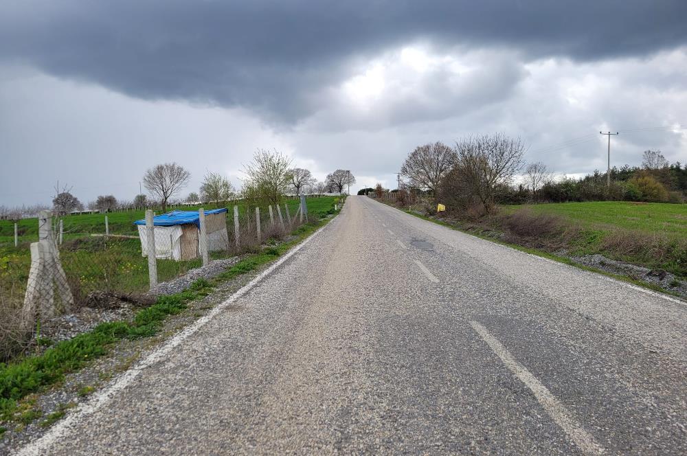 C21 BAL'DAN DİŞBUDAK'TA 13321 M2 ASFALTA CEPHE SATILIK CEVİZLİK