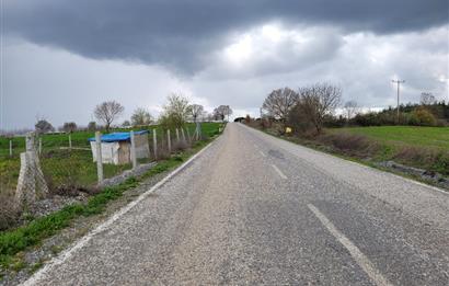 C21 BAL'DAN DİŞBUDAK'TA 13321 M2 ASFALTA CEPHE SATILIK CEVİZLİK