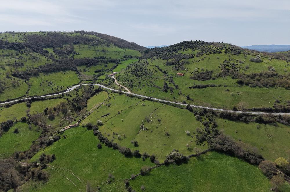 CENTRUY 21 BAL'DAN  BALYA ENVERPAŞA MAHALLESİ SATILIK TARLA