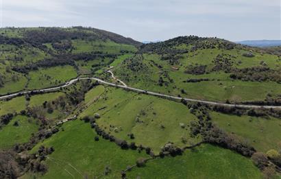 CENTRUY 21 BAL'DAN  BALYA ENVERPAŞA MAHALLESİ SATILIK TARLA