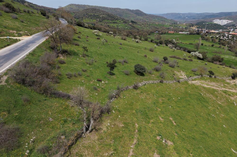 CENTRUY 21 BAL'DAN  BALYA ENVERPAŞA MAHALLESİ SATILIK TARLA