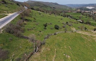 CENTRUY 21 BAL'DAN  BALYA ENVERPAŞA MAHALLESİ SATILIK TARLA