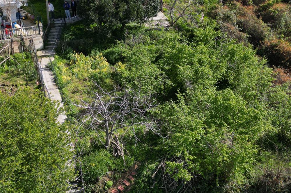 CENTURY 21'DEN PERŞEMBE MERSİN KÖYÜN'DE DENİZ MANZARALI SATILIK VİLLA