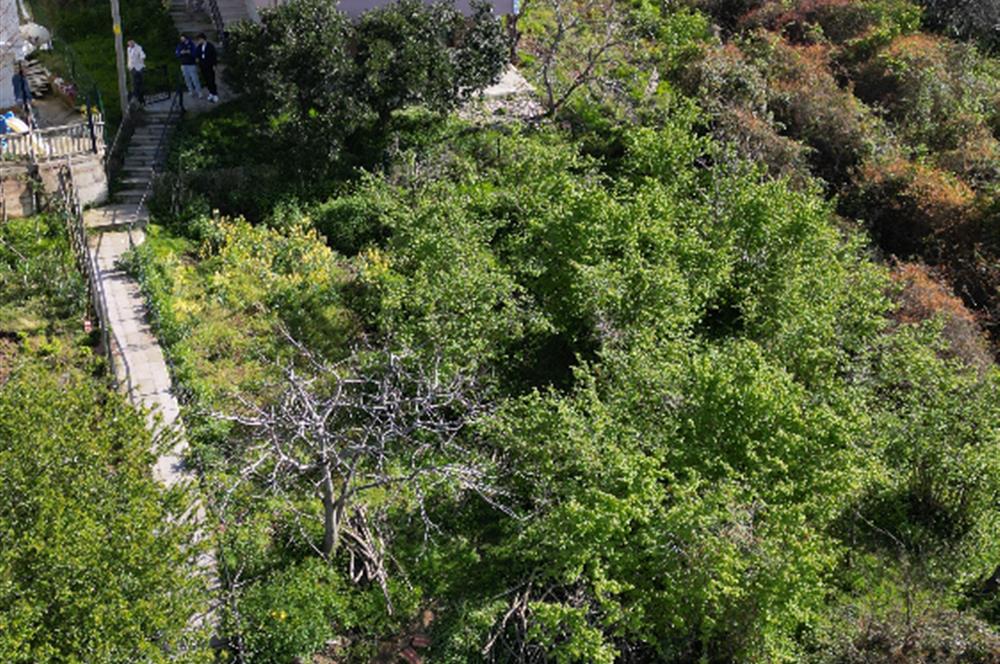 CENTURY 21'DEN PERŞEMBE MERSİN KÖYÜN'DE DENİZ MANZARALI SATILIK VİLLA