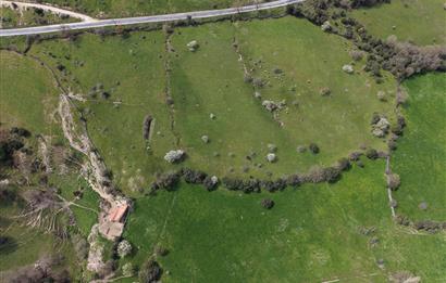 CENTRUY 21 BAL'DAN  BALYA ENVERPAŞA MAHALLESİ SATILIK TARLA