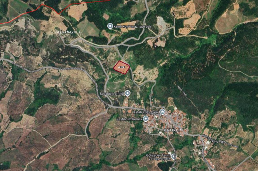 C21 Cius; Katırlı 7458 m2 Satılık Tarla İncirlik