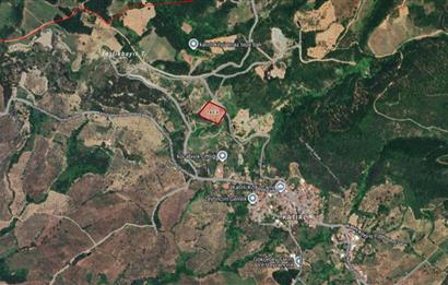 C21 Cius; Katırlı 7458 m2 Satılık Tarla İncirlik