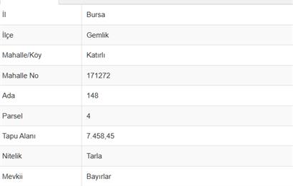 C21 Cius; Katırlı 7458 m2 Satılık Tarla İncirlik