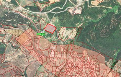 C21 Cius; Katırlı 7458 m2 Satılık Tarla İncirlik