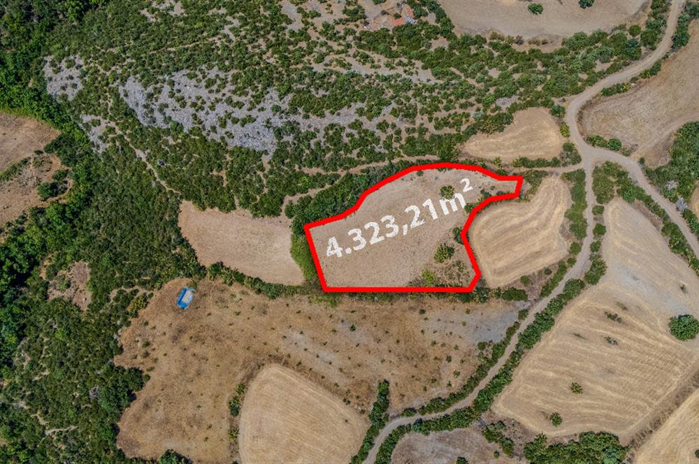 C21 LOCA'DAN KEPSUT SAYACIK MAHALLESİNDE 4323 M2 SATILIK TARLA