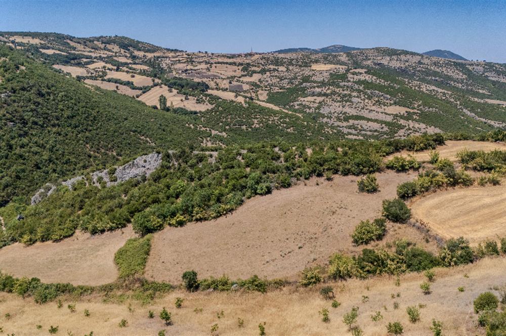 C21 LOCA'DAN KEPSUT SAYACIK MAHALLESİNDE 4323 M2 SATILIK TARLA