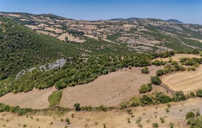 C21 LOCA'DAN KEPSUT SAYACIK MAHALLESİNDE 4323 M2 SATILIK TARLA