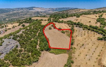 C21 LOCA'DAN KEPSUT SAYACIK MAHALLESİNDE 4323 M2 SATILIK TARLA