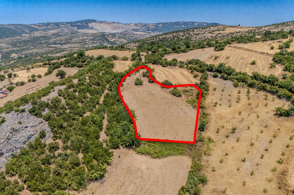 C21 LOCA'DAN KEPSUT SAYACIK MAHALLESİNDE 4323 M2 SATILIK TARLA