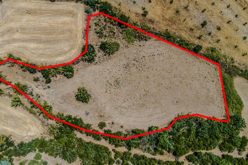 C21 LOCA'DAN KEPSUT SAYACIK MAHALLESİNDE 4323 M2 SATILIK TARLA