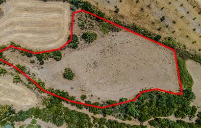 C21 LOCA'DAN KEPSUT SAYACIK MAHALLESİNDE 4323 M2 SATILIK TARLA