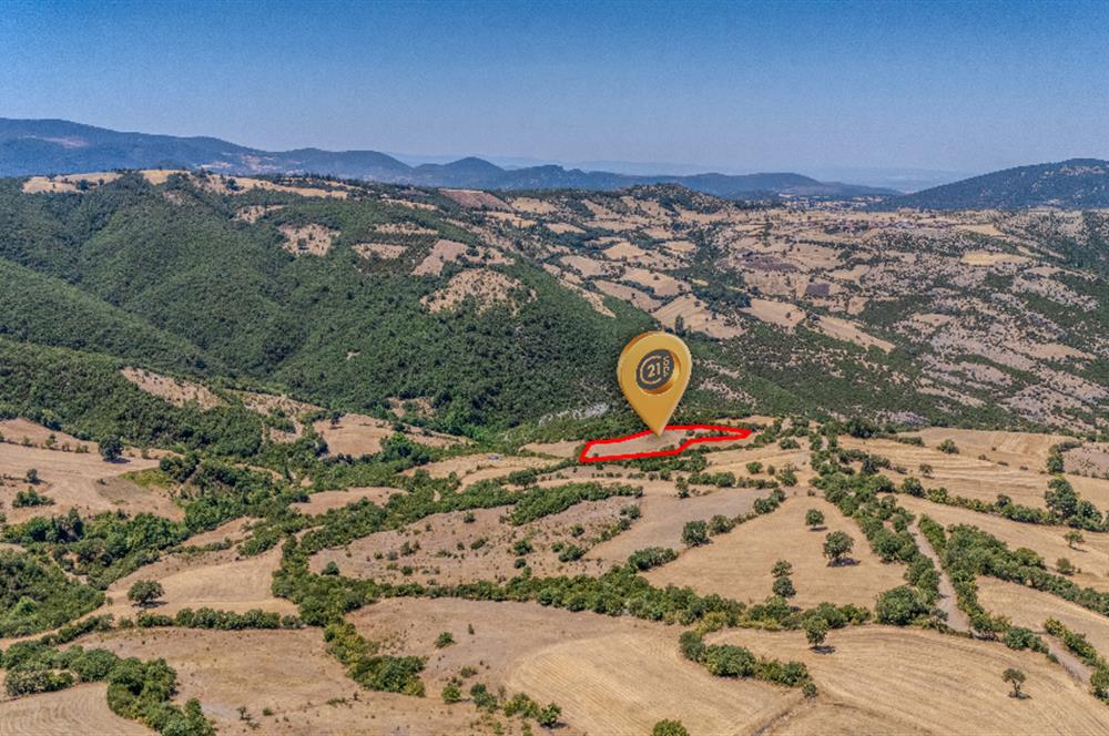 C21 LOCA'DAN KEPSUT SAYACIK MAHALLESİNDE 4323 M2 SATILIK TARLA