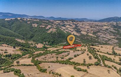 C21 LOCA'DAN KEPSUT SAYACIK MAHALLESİNDE 4323 M2 SATILIK TARLA