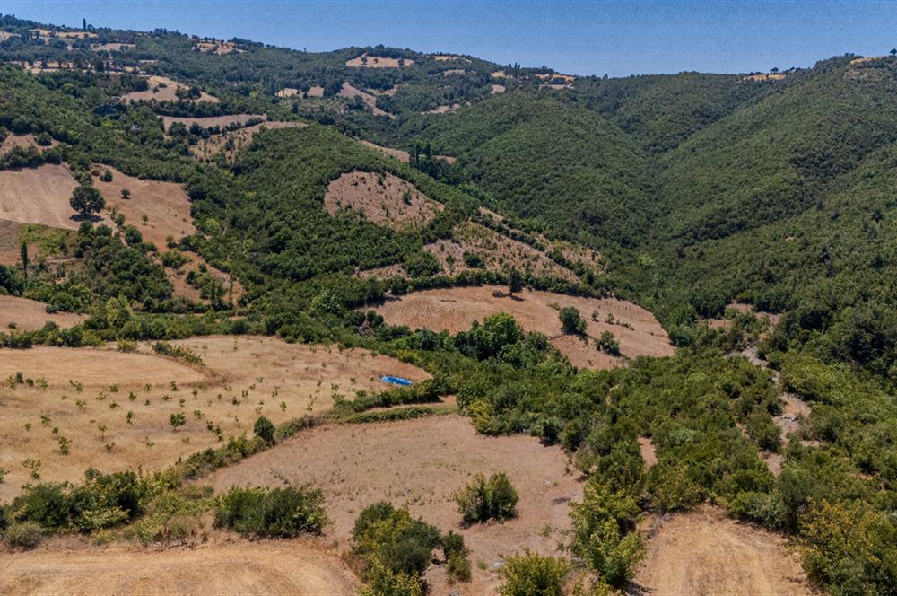 C21 LOCA'DAN KEPSUT SAYACIK MAHALLESİNDE 4323 M2 SATILIK TARLA