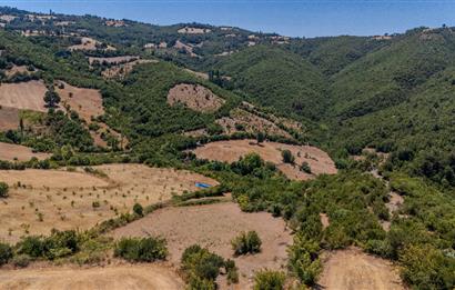 C21 LOCA'DAN KEPSUT SAYACIK MAHALLESİNDE 4323 M2 SATILIK TARLA