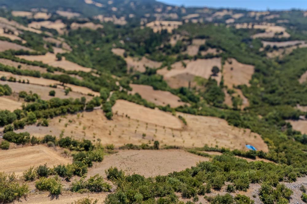 C21 LOCA'DAN KEPSUT SAYACIK MAHALLESİNDE 4323 M2 SATILIK TARLA