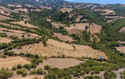 C21 LOCA'DAN KEPSUT SAYACIK MAHALLESİNDE 4323 M2 SATILIK TARLA