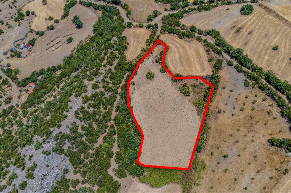 C21 LOCA'DAN KEPSUT SAYACIK MAHALLESİNDE 4323 M2 SATILIK TARLA