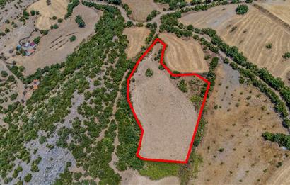 C21 LOCA'DAN KEPSUT SAYACIK MAHALLESİNDE 4323 M2 SATILIK TARLA